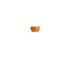 LotusGrill Barbecue A Carbonella Xl Portatile Per Esterno Orange Lg G435 Or Lotus Grill