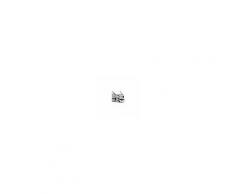 Grattuge - Mod. GRA GD3 - Doppia grattugia - Motore ventilato - Dotato di protezione termica - Alimentazione V 230/400/50Hz trifase - Potenza Kw 0,75 ( 1,0 Hp) - Giri al minuto 1400 - Produzione oraria Kg 70 x2 - Dimensioni bocche N. 2 cm 14x8 - Dimensio
