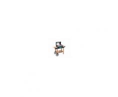 Barbecue A Gas Roccia Legno Fb-52