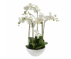 Emerald Orchidea Artificiale Bianca 80 cm 20.335C