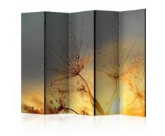 Paravento 5 Pannelli - Summer Solstice Ii 225x172cm Erroi...