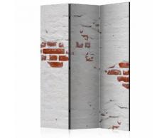 Paravento 3 Pannelli - Stony Secret 135x172cm Erroi...