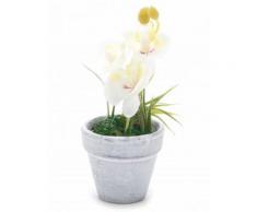 Piccola orchidea artificiale bianca