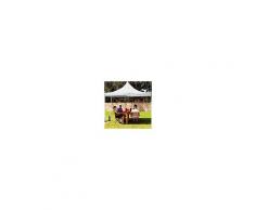 tendapro.it Gazebo Pieghevole 3x3m grigio Padiglione Richiudibile Automatico