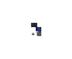 Luci natalizie led esterno filo verde catena serie da 180 e 480 led luce bianca e blu impermeabili IP44