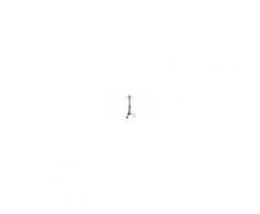 World Casa Porta Attrezzi Camino Eco Grande Cm.70 Art.40.304 (FALSE)