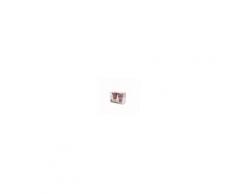 Set 2 coppe gelato Bagno 61 da 300 ml