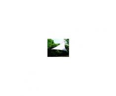 nbrand Vela 5x5x5 Mt Bianco Vela Ombreggiante Triangolare 5x5x5 Metri Copertura Telo Tenda Parasole Da Giardino 160 G/mq Colore Bianco - Vela