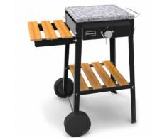 Barbecue A Gas Con Pietra Lavica Bio Cooking 1 Fuoco Ferraboli...