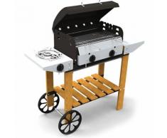 Barbecue A Gas Con Roccia Lavica Fornello Laterale Ferraboli Vulca...