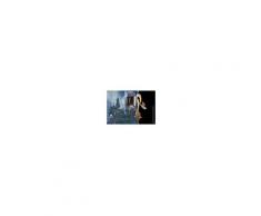 NOBLE COLLECTION Ciondolo Scopa Firebolt Broom E Boccino D'Oro Harry Potter