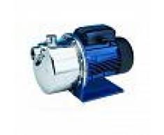 Elettropompa Autoadescante Centrifuga Lowara Bgm 7 1 Hp Acciaio Inox