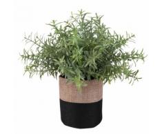 Pianta grassa artificiale in vasetto in iuta bicolore, 18 cm