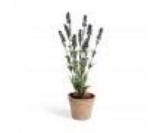 Kave Home Pianta lavanda artificiale Zelena