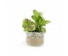 Kave Home Pianta succulenta portulacaceae artificiale Zelena