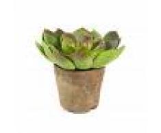 Kave Home Pianta succulenta echeveria artificiale Zelena