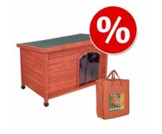 Set Cuccia per cani Woody, porta e Isolamento - L 115 x P 76 x H 80 cm