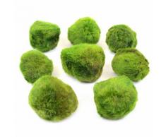 Set di piante per acquario Zooplants "Palline di muschio" - 8 palline