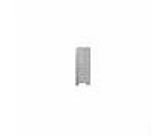 Forniture ristorazione - Armadio casellare - in lamiera d'acciaio profilata - spessore 6/10 - mod. 170/10 - n.10 posti - n.10 antine battenti - dim. ingresso vano cm l 22 x p 46,5 x h 29 - dim. cm l 60 x p 50 x h 180