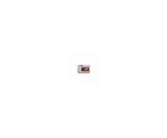 FORNI A MICROONDE INOX - MOD. CM1919 - COMANDI MANUALI - STRUTTURA E CAMERA IN ACCIAIO INOX - CAPACITA' CAMERA DI COTTURA Lt. 26 o N. 1 GN 2/3 - VARIATORE DI POTENZA A 5 LIVELLI (ALTA, MEDIA, BASSA, SCONGELAMENTO LENTO E RAPIDO) - N. 2 MAGNETRON - TIM