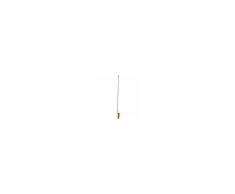 Forniture ristorazione - Spazzolone in fibra naturale - dimensioni cm. l 7 x p 22 x 171 h