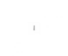 Forniture ristorazione - Armadio casellare - in lamiera d'acciaio profilata - spessore 6/10 - mod. 170/04 - n.4 posti - n.4 antine battenti - dim. ingresso vano cm l 27 x p 46,5 x h 37 - dim. cm l 35 x p 50 x h 180