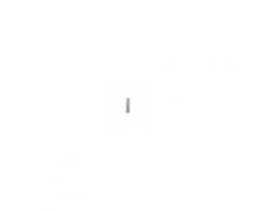 Forniture ristorazione - Armadio casellare - in lamiera d'acciaio profilata - spessore 6/10 - mod. 170/05 - n.5 posti - n.5 antine battenti - dim. ingresso vano cm l 22 x p 46,5 x h 29 - dim. cm l 30 x p 50 x h 180