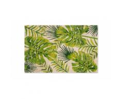 :Zerbino Foliage