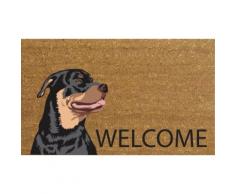 Zerbino : Welcome Terranova