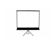 : 1 Schermo proiettore Belesv04 (87492373)