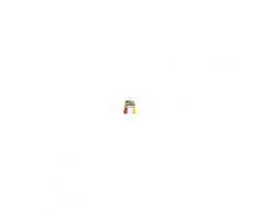 ARTSANA CHICCO GIOCO 76530 TAVOLO HOBBY