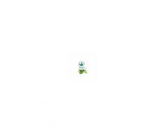 Fisher Price Vasino sgabellino del re