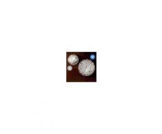 Linea Light Applique/Plafoniera in Cristallo Artic 3 Luci G9 Ø 38 cm