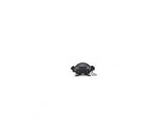 Weber Barbecue Elettrico Q 1400 Dark Grey 52020053