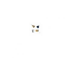 Kit paletta classica, guanti nitrile, scopa saggina, 5 kg. di pasta lava