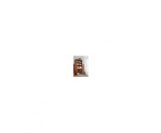 Mobile dispensa in legno acacia - laccato / miele dorato 85x36x175 SHAMAN #76