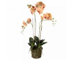 Emerald Orchidea Artificiale con Muschio Arancione 419150