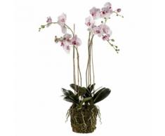 Emerald Orchidea Artificiale con Muschio Rosa Chiaro 419149