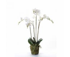 Emerald Orchidea Artificiale con Muschio Bianca 90 cm 20.355