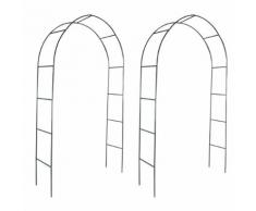 vidaXL Arco da Giardino 2 pz per Piante Rampicanti