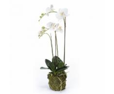 Emerald Orchidea Phalaenopsis Artificiale 70 cm Bianca