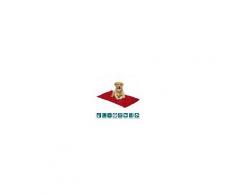 Evergreenweb Letto per Cani alto 8 cm Lavabile Materasso Multiuso per Animali Domestici Cuscino Ortopedico in Waterfoam Cuccia Tappeto Sofa Imbottitura 100% Fiocco Effetto Piuma Tessuto Rosso