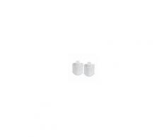 Rowenta XD9070 accessorio per ferro da stiro Iron anti-scale cartridge