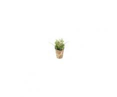 Maisons du Monde Orchidee e bonsai artificiale con vaso in carta Kraft