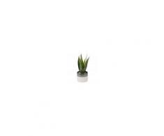 Maisons du Monde Pianta artificiale Aloe Vera in vaso in ceramica bicolore