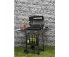 Barbecue a gas con pietra lavica Campingaz Expert Deluxe