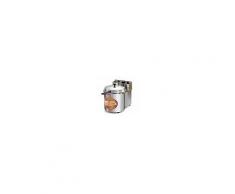 Friggitrice Elettrica da Banco Professionale Termostato 0-210° Capacità 4 Lt Potenza 2300W Timer Modello FG2104