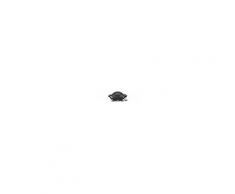 Weber Barbecue Elettrico Weber Q 2400 Dark Grey Elettrico Mod.55020053