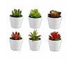 Piantina grassa artificiale 6pz con vaso pianta succulente arredamento casa