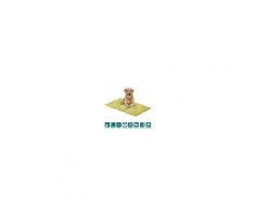 Evergreenweb Letto per Cani alto 8 cm Lavabile Materasso Multiuso per Animali Domestici Cuscino Ortopedico in Waterfoam Cuccia Tappeto Sofa Imbottitura 100% Fiocco Effetto Piuma Tessuto Verde Chiaro